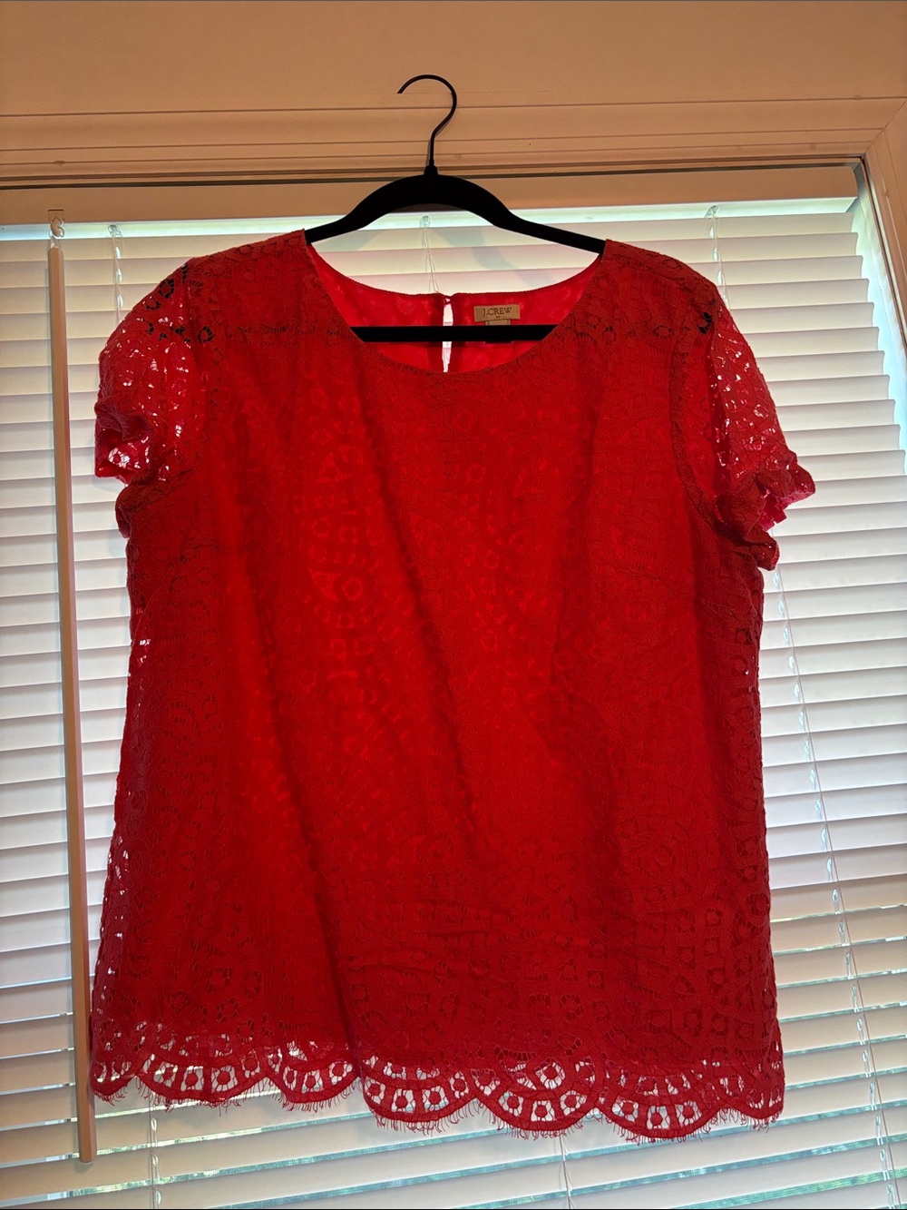 J. Crew Red Lace Short Sleeve Blouse